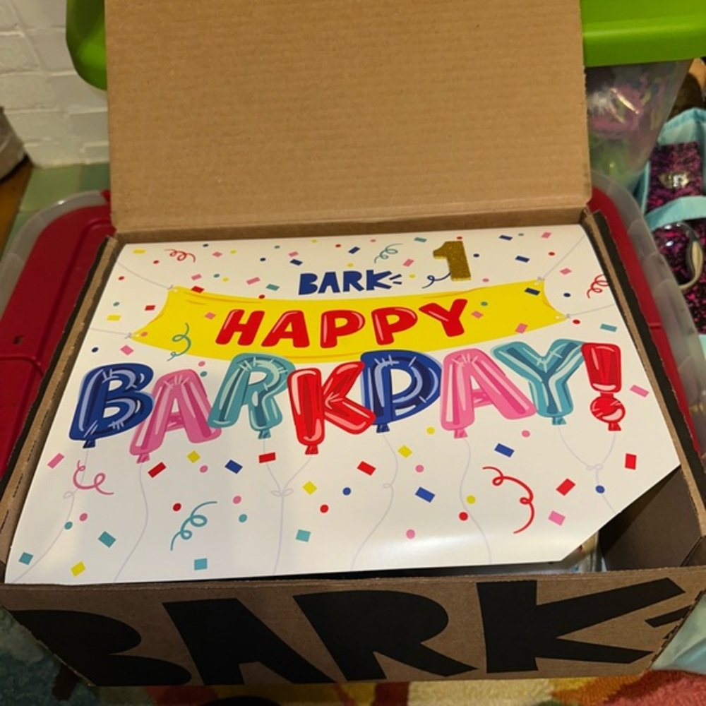 Large/XL Partial Birthday Bark Box